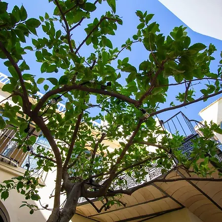 Apartment Lalasuites Sharis *