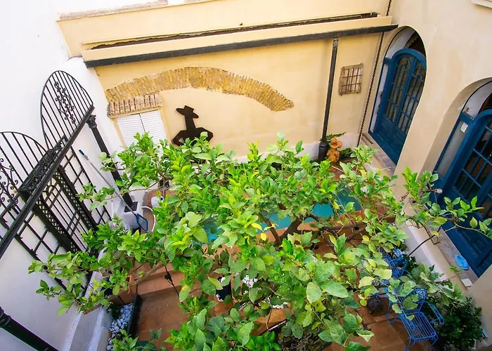 Apartment Lalasuites Sharis