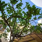 Apartamento Lalasuites Sharis *