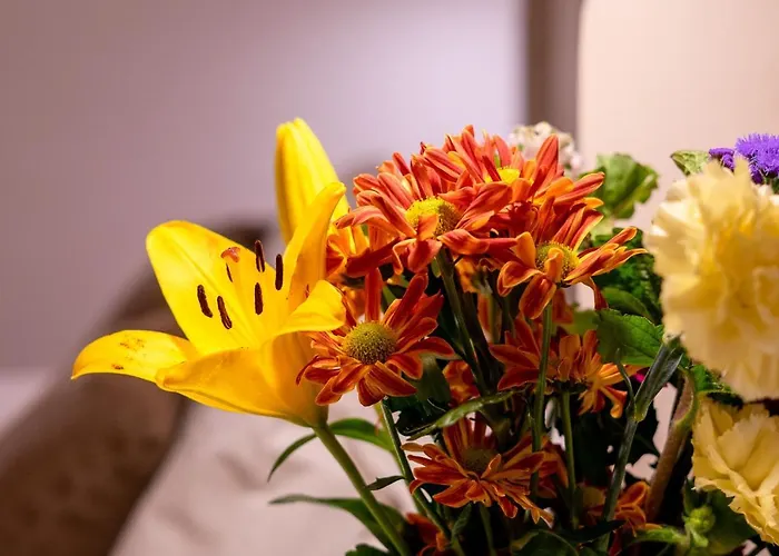 Lalasuites Sharis Jerez de la Frontera