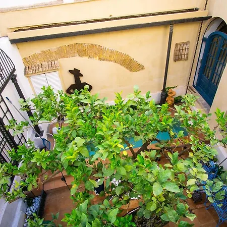 Apartament Sharis