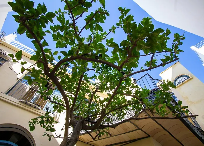 Daire Lalasuites Sharis *